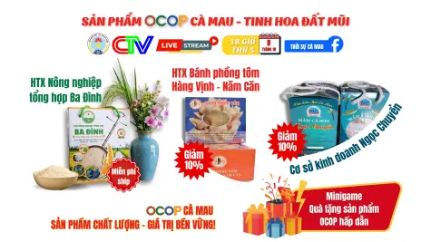 Phiên livestream OCOP ngày 8/10/2026
