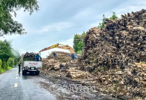 Tạo đột phá trong sản xuất nông - lâm - ngư nghiệp