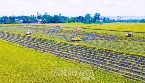 Đẩy mạnh ứng dụng tiến bộ kỹ thuật trong nông nghiệp