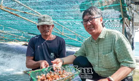 Hiệp Thành đẩy mạnh ứng dụng công nghệ vào sản xuất
