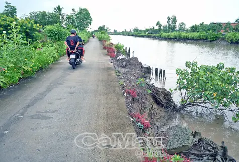 Mong manh lộ ven sông