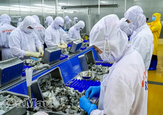 Sát cánh cùng doanh nghiệp, nhà đầu tư