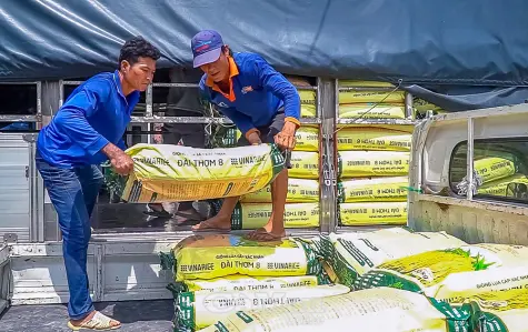 Phường An Xuyên hỗ trợ gần 9 tấn lúa giống, tiếp sức nông dân vụ đông xuân