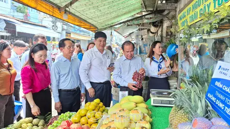 Chuyển đổi số Cà Mau - Từ nền tảng đến hành động đột phá