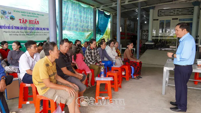 Tập huấn chuyển đổi số trong sản xuất lúa chất lượng cao, phát thải thấp