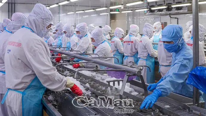 Thu hút đầu tư, nâng giá trị thuỷ sản