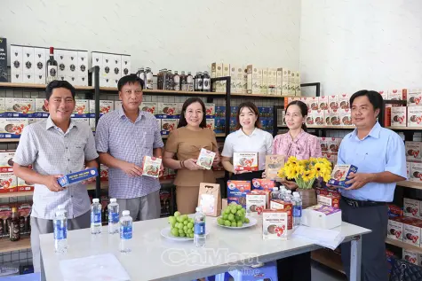 Hội Nông dân tỉnh khảo sát hoạt động HTX tại cơ sở