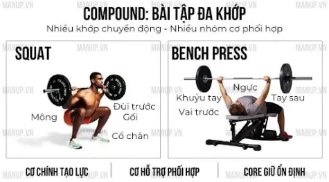 Người mới tập gym nên chọn bài tập thế nào để buổi tập gọn và đủ nhóm cơ?