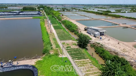 Xây dựng nông thôn mới: Ý Ðảng thoả lòng dân