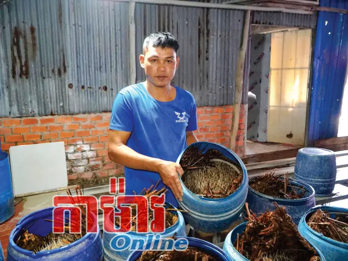 ផ្ដើមអាជីពពីការធ្វើសណ្ដែកបណ្ដុះស្អាត