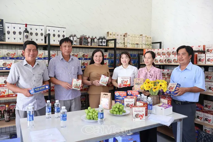 Hội Nông dân tỉnh khảo sát hoạt động HTX tại cơ sở