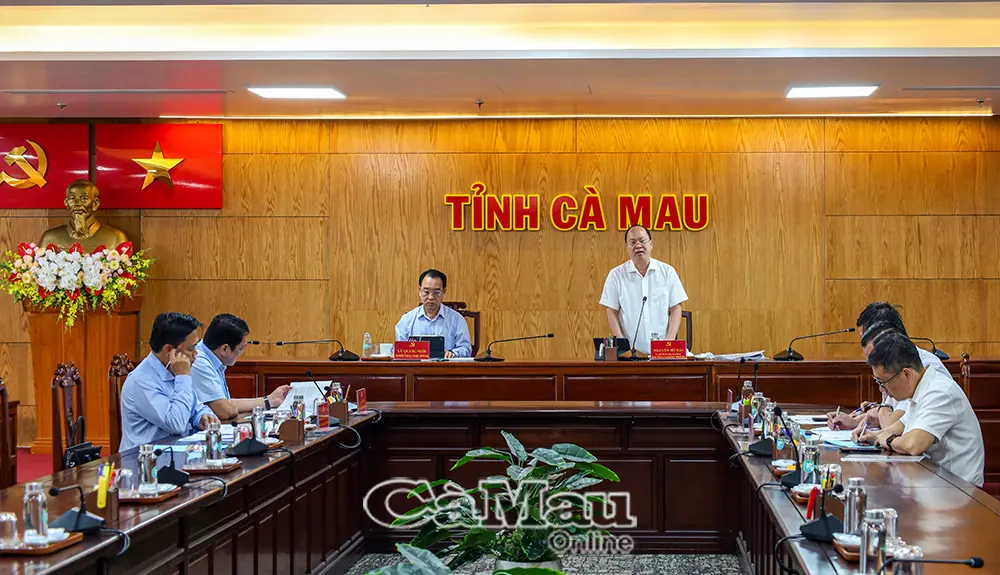 Cà Mau đẩy nhanh xử lý nhà, đất dôi dư, chống lãng phí tài sản công
