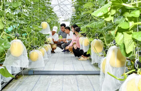 Bền hành động, thấm lòng dân