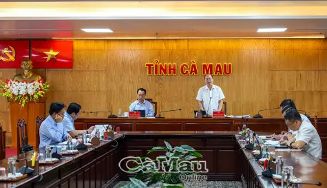Cà Mau đẩy nhanh xử lý nhà, đất dôi dư, chống lãng phí tài sản công