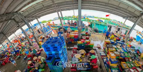 Nhật ký điện tử đồng hành gỡ thẻ vàng của EC