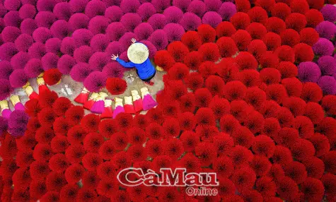 Chạm vào đam mê