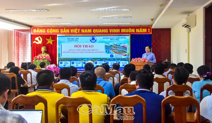 Cà Mau, Cần Thơ và An Giang chiếm 87% sản lượng và tỷ trọng xuất khẩu tôm cả nước