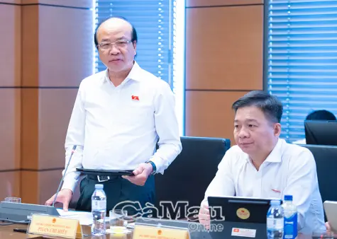 Đoàn đại biểu Quốc hội tỉnh Cà Mau góp ý 3 dự án luật