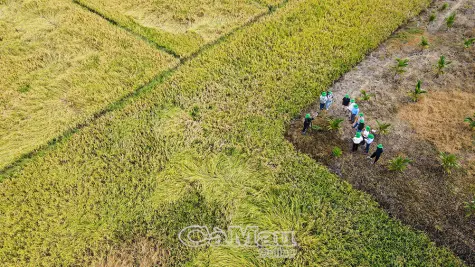 Khai thác lợi thế nông nghiệp, phát triển sản phẩm giá trị cao