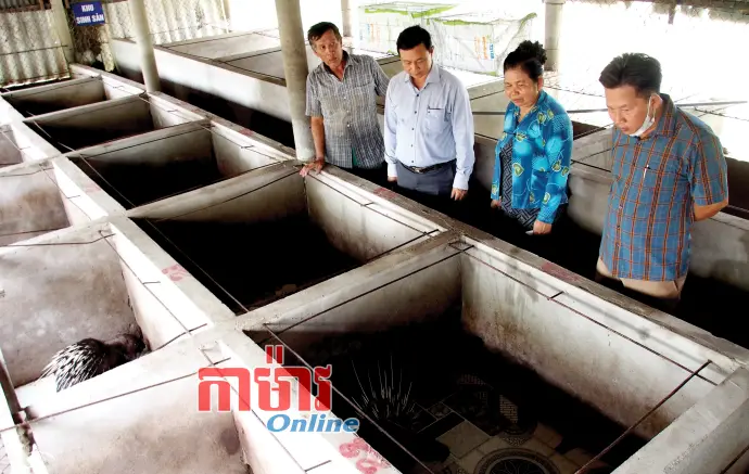 ធ្វើមានផ្តើមពីទម្រង់ចិញ្ចឹមសត្វចម្រុះ