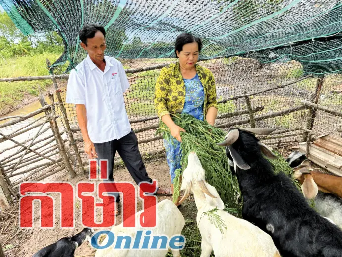ជួយជាកម្លាំងជំរុញដើម្បីប្រជាជនឃុំ Vĩnh Hậu ឈានឡើង