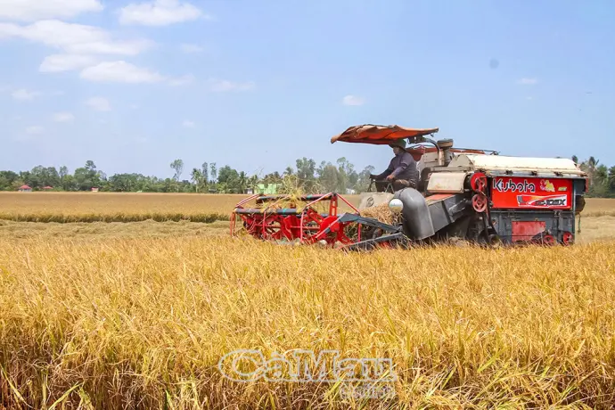 Nông nghiệp sinh thái hướng đến tương lai xanh