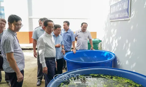 Nâng cao trách nhiệm trong công tác phòng, chống bệnh sốt xuất huyết