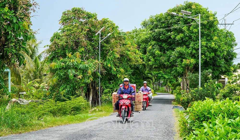 Xã Đông Hải xây dựng nông thôn mới, nâng cao chất lượng cuộc sống người dân