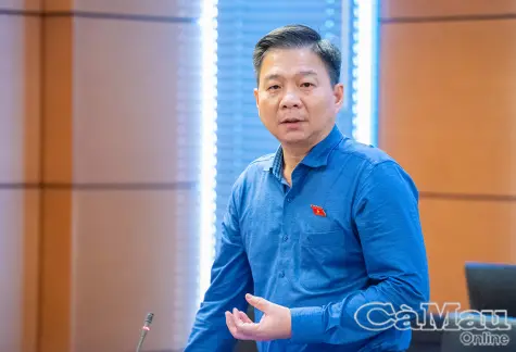 Đại biểu Quốc hội đề xuất giải pháp hoàn thiện chính sách thuế, nâng cao hiệu quả đấu thầu