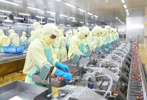 Cà Mau đưa thuỷ sản đến Thanh Đảo, mở rộng thị trường quốc tế