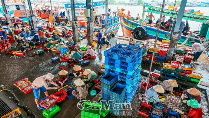 Theo nhịp tàu về