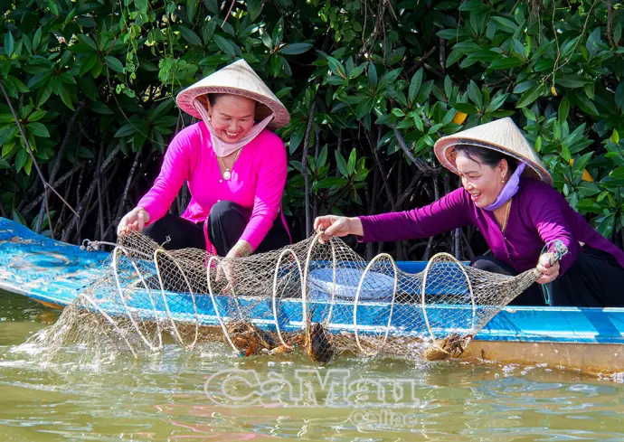 Tôm sú Cà Mau: Từ tán rừng ngập mặn vươn ra thế giới