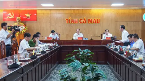 Thường trực Ban Chỉ đạo phòng, chống tham nhũng, lãng phí, tiêu cực tỉnh Cà Mau họp đánh giá công tác tháng 10/2026