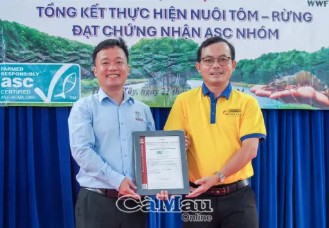 Tôm sú Cà Mau: Từ tán rừng ngập mặn vươn ra thế giới - Bài 2: Tự hào vùng tôm - rừng đạt chứng nhận quốc tế lớn nhất Việt Nam