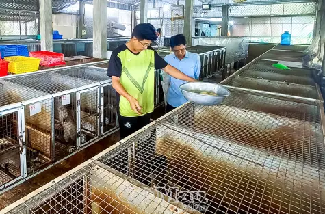 Đảng viên tiên phong