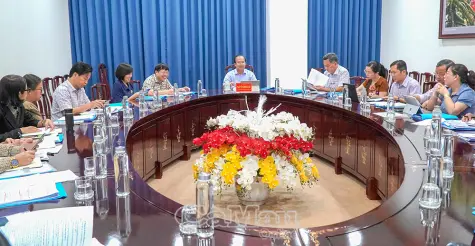 Rà soát đề án, nâng cao chất lượng giáo dục và nguồn nhân lực