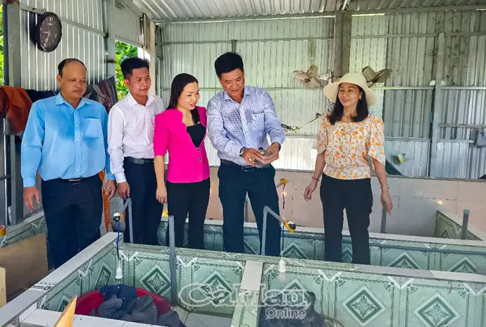 Phát huy vai trò quỹ hỗ trợ nông dân